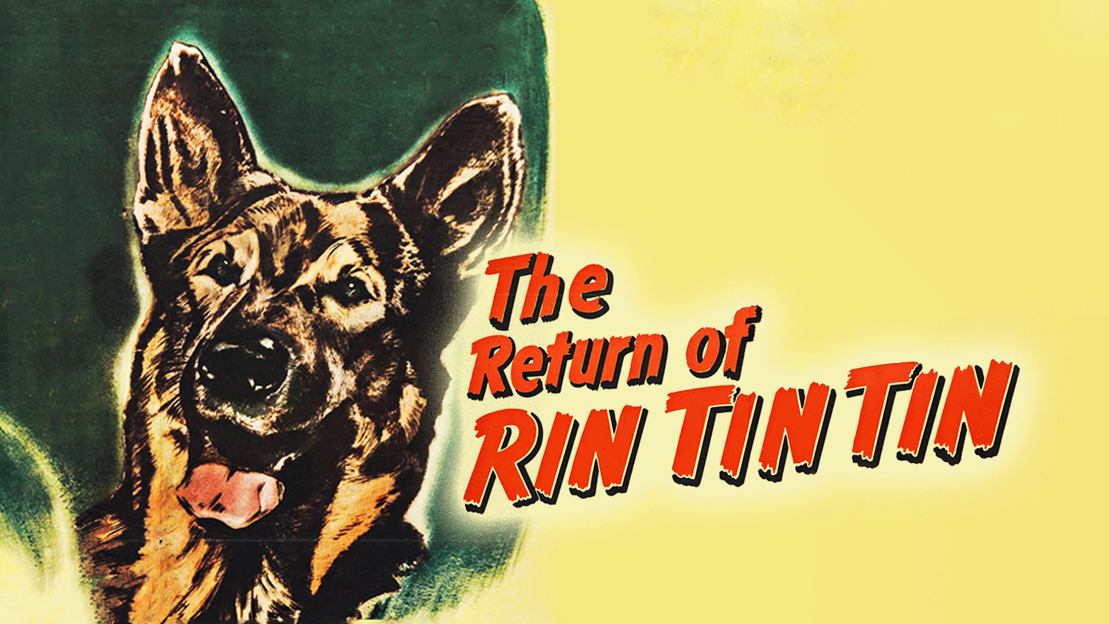 Return of Rin Tin Tin poster